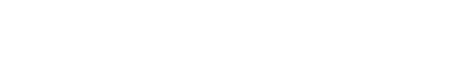 Revival Performance Physical Therapy